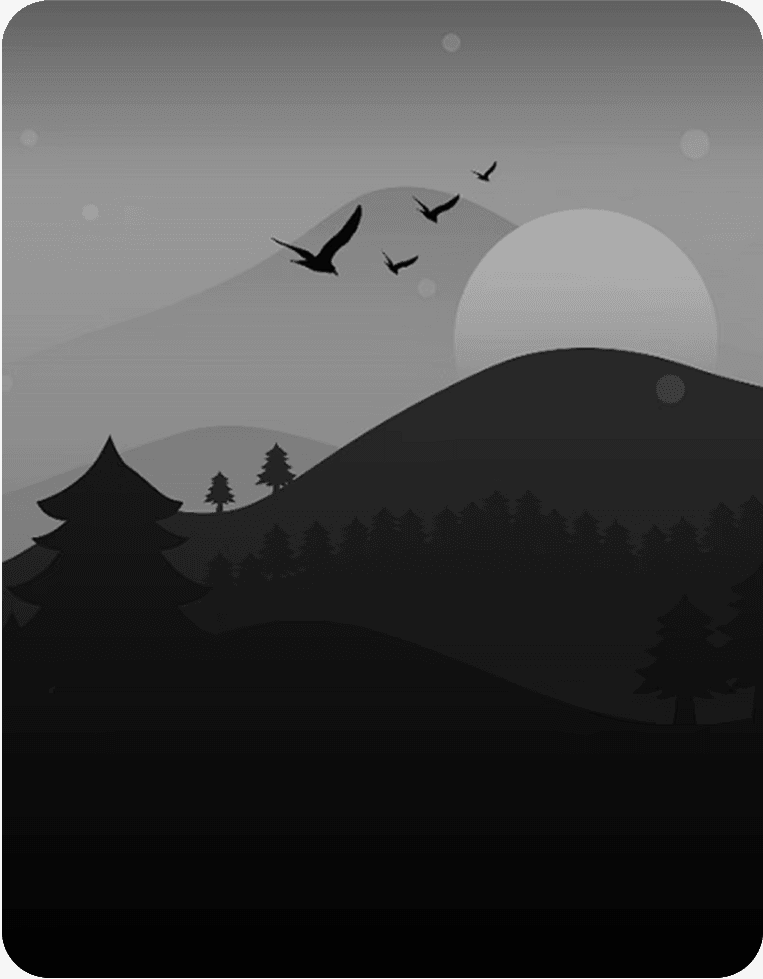 Custom Illustrations and Visual Design Services